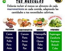 refuerza y alimenta tus músculos