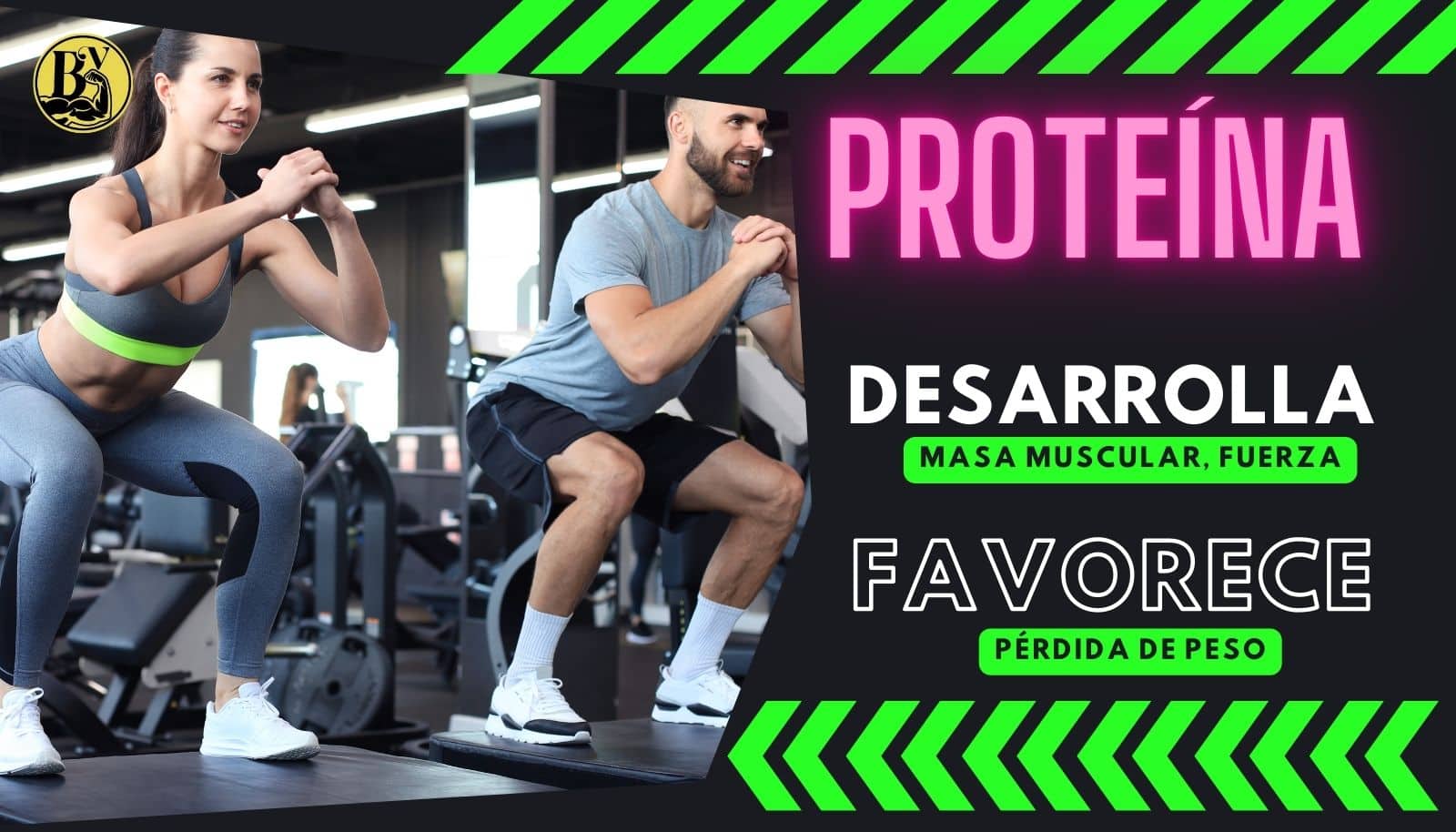 categor&iacute;a prote&iacute;na