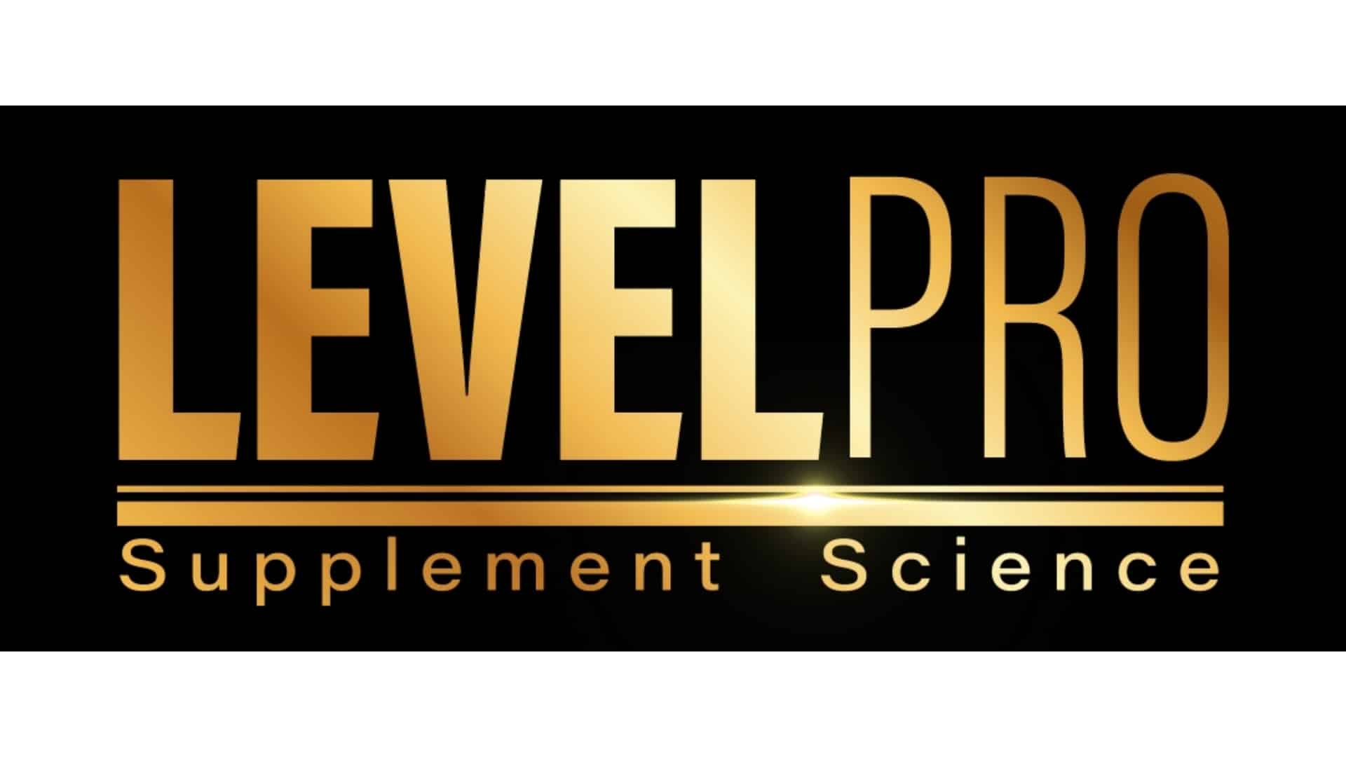 LEVEL PRO LOGO