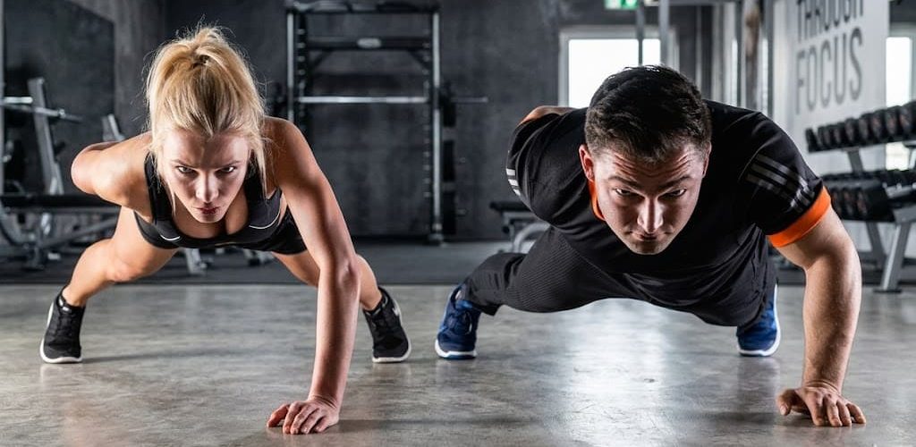 gym sport suplementos deportivos